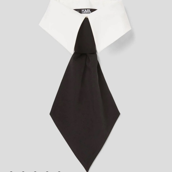 Meet your Posher, Tyra - Picture 1 of 1